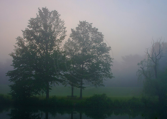 Morning Reflection