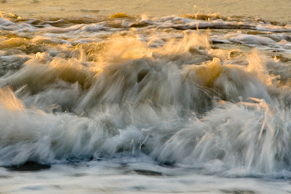 Sunlit Waves