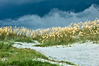 Before the Storm
