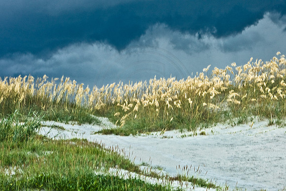 Before the Storm