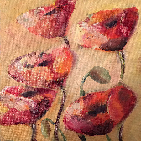 Poppies: "6 X 6" Oil on Canvas Panel