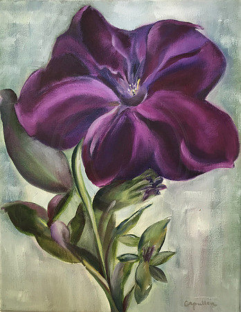 Title: Petunia Oil on Canvas 11X14