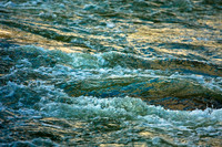 Blue and Gold