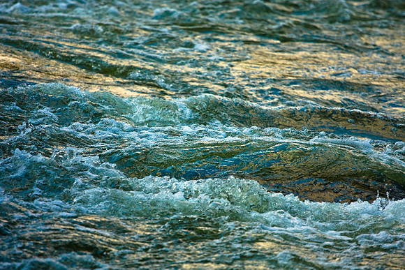 Blue and Gold