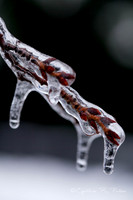 Ice