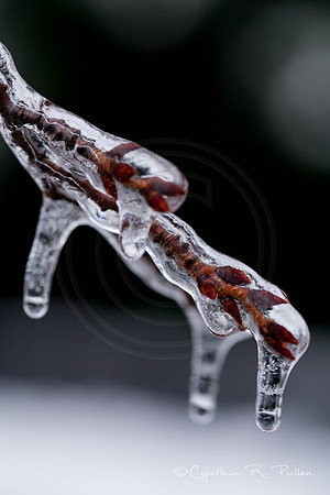 Frozen in Time
