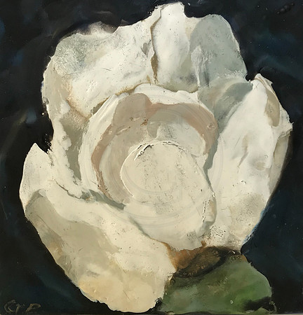 Magnolia: Encaustic on Wood Panel "8 X8" $100.00