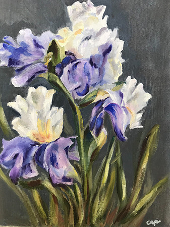 Title: Iris Oil on Canvas Panal "9X12"