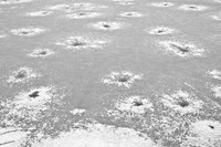 Frozen Lake Abstract