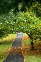 Walking Path