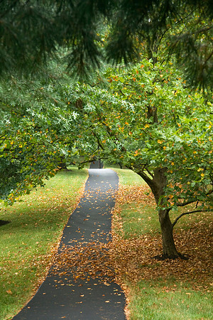 Walking Path