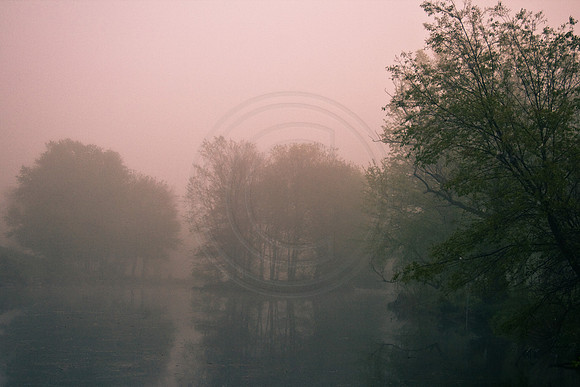 Morning fog