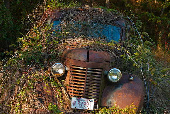 Rusty