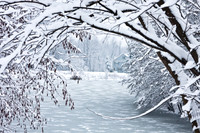 Winter Wonderland