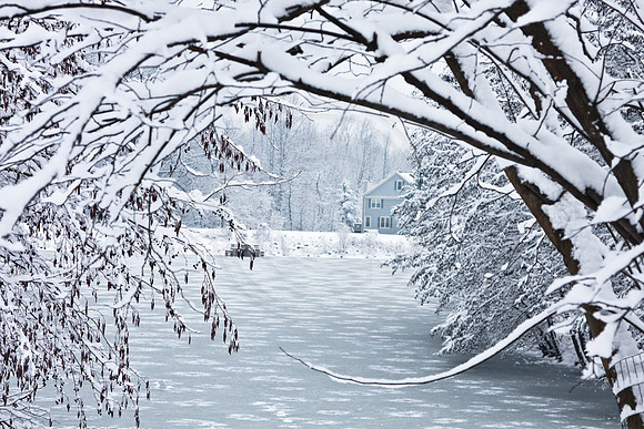 Winter Wonderland