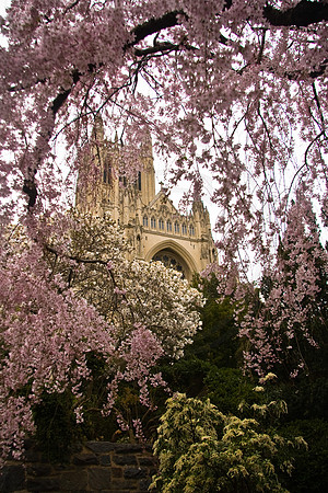 National Cathedral Bishop Garden